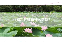 代销和代理有什么区别？