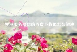 香港服务器网站百度不收录怎么解决