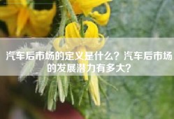 汽车后市场的定义是什么？汽车后市场的发展潜力有多大？