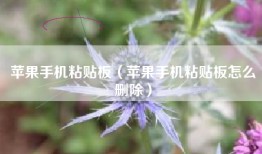 苹果手机粘贴板（苹果手机粘贴板怎么删除）