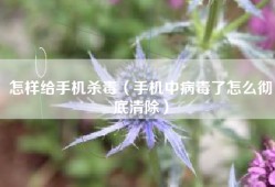 怎样给手机杀毒（手机中病毒了怎么彻底清除）