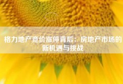 格力地产竞价涨停背后：房地产市场的新机遇与挑战