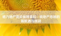 格力地产竞价涨停背后：房地产市场的新机遇与挑战