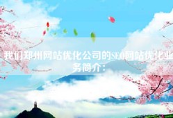 我们郑州网站优化公司的SEO网站优化业务简介：