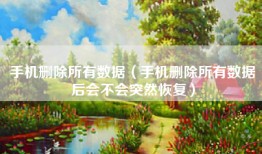 手机删除所有数据（手机删除所有数据后会不会突然恢复）