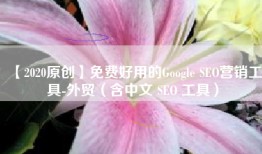 【2020原创】免费好用的Google SEO营销工具-外贸（含中文 SEO 工具）