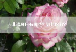 非遗项目有哪些？如何区分？