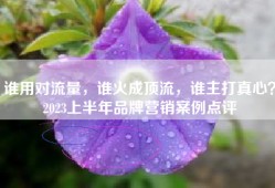 谁用对流量，谁火成顶流，谁主打真心？2023上半年品牌营销案例点评
