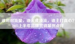 谁用对流量，谁火成顶流，谁主打真心？2023上半年品牌营销案例点评
