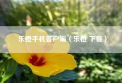 乐橙手机客户端（乐橙 下载）