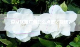 百度联盟广告怎么点击才赚钱？