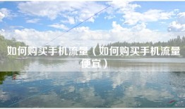 如何购买手机流量(如何购买手机流量便宜)