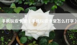 手机玩皮卡堂（手机玩皮卡堂怎么打字）