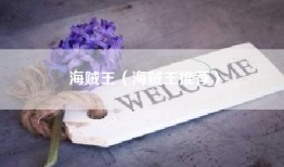 海贼王（海贼王推荐）