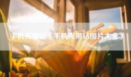 手机壳带钻（手机壳带钻图片大全）