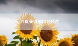 百度关键词排名技术
