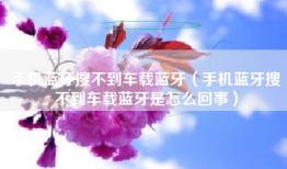 手机蓝牙搜不到车载蓝牙（手机蓝牙搜不到车载蓝牙是怎么回事）