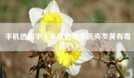 手机透明手（手机透明手机壳发黄有毒性吗）