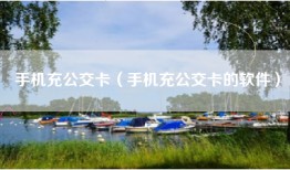 手机充公交卡（手机充公交卡的软件）