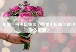 苹果手机微信置顶（苹果手机微信置顶怎么取消）