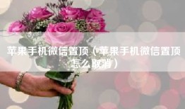 苹果手机微信置顶（苹果手机微信置顶怎么取消）