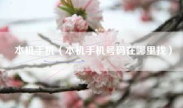 本机手机（本机手机号码在哪里找）