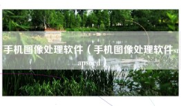 手机图像处理软件（手机图像处理软件snapseed）
