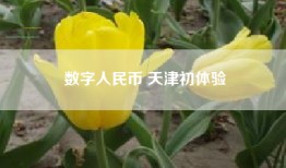 数字人民币 天津初体验