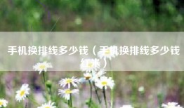 手机换排线多少钱（手机换排线多少钱红米）