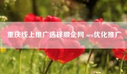 重庆线上推广选择顺企网 seo优化推广
