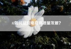 AI如何赋能电商高质量发展？