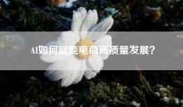 AI如何赋能电商高质量发展？