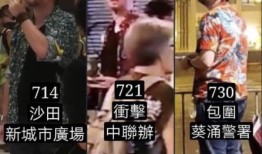 央视大起底：幕后黑手如何手把手教乱港分子？