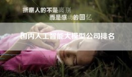 国内人工智能大模型公司排名