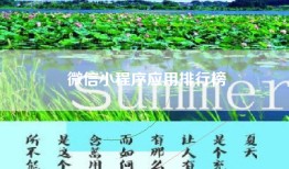 微信小程序应用排行榜