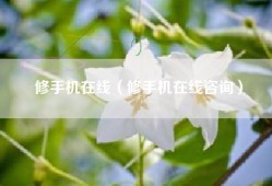 修手机在线（修手机在线咨询）