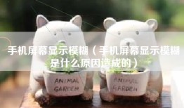 手机屏幕显示模糊（手机屏幕显示模糊是什么原因造成的）