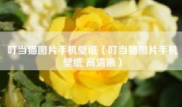 叮当猫图片手机壁纸（叮当猫图片手机壁纸 高清晰）