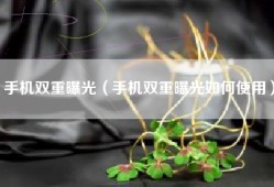 手机双重曝光（手机双重曝光如何使用）