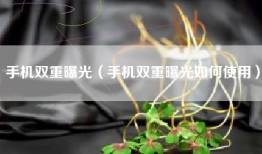 手机双重曝光（手机双重曝光如何使用）