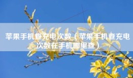 苹果手机查充电次数（苹果手机查充电次数在手机哪里查）