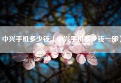 中兴手机多少钱（中兴手机多少钱一部）