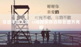 非遗手造大赏  18项国家级省级非遗齐亮相