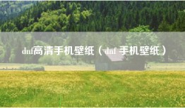 dnf高清手机壁纸（dnf 手机壁纸）
