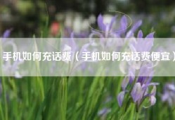 手机如何充话费（手机如何充话费便宜）