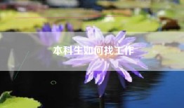 本科生如何找工作