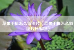 苹果手机怎么做图片（苹果手机怎么做图片压缩包）