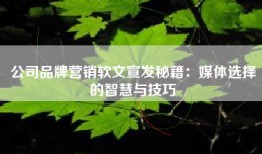 公司品牌营销软文宣发秘籍：媒体选择的智慧与技巧