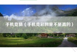 手机竞猜（手机竞彩网是不是真的）