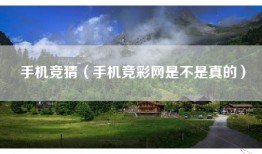 手机竞猜（手机竞彩网是不是真的）